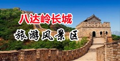 操日韩美女中国北京-八达岭长城旅游风景区